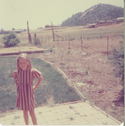 Behold to the right, the tool of sibling torture: the electric fence!