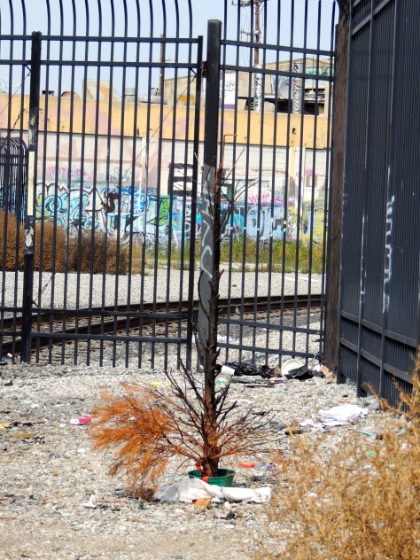 It's Christmas for unpublished authors in the ghetto.